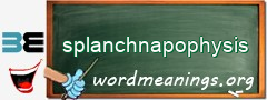 WordMeaning blackboard for splanchnapophysis